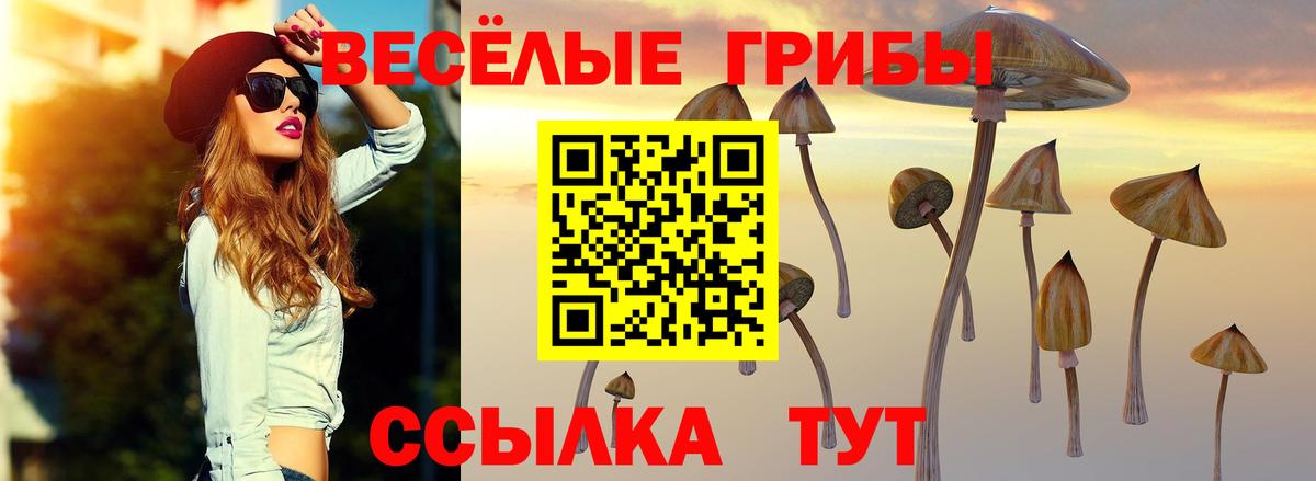 Псилоцибиновые грибы Psilocybine cubensis Усолье-Сибирское
